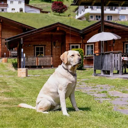 Alpehytte Uriges 4 Grafenweg